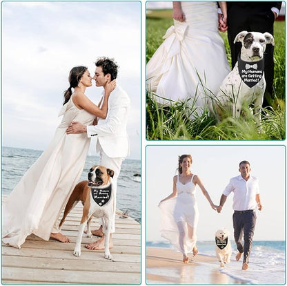 Blank Dog Bandanas Medium-1PCS