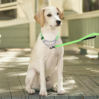 Martingale Dog Collar with Stainless Steel Chain and Leash Set 5FT Double