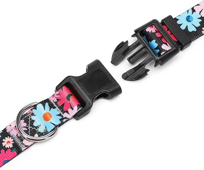 Adjustable Dog Collar with Patterns