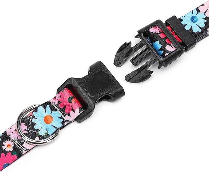 Adjustable Dog Collar with Patterns