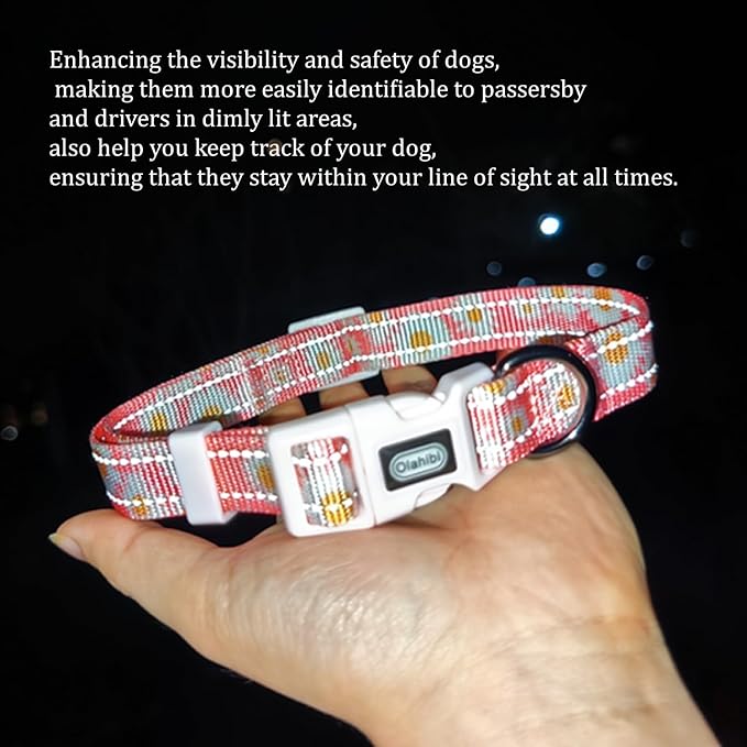 Floral Pattern Dog Collar