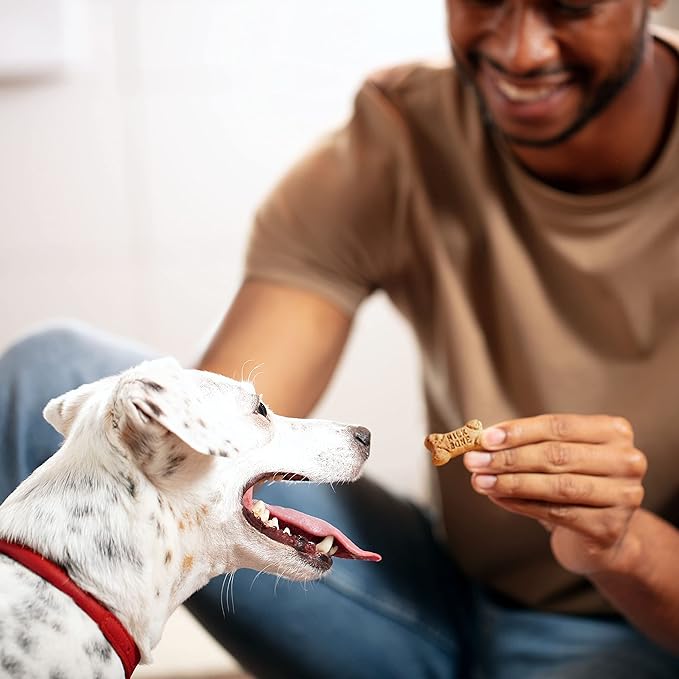 Milk-Bone Mini's Flavor Snacks Dog Treats Bundle: 36 Ounce Canister + 2 Refill Packs