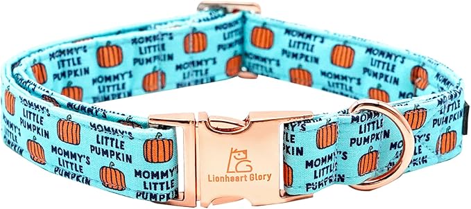 Lionheart glory Dog Collars Fall Halloween Pumpkin Thanksgiving