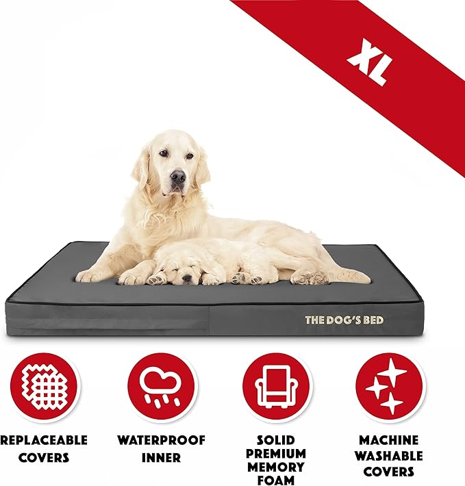 The Dog’s Bed Orthopedic Memory Foam Dog Bed 46x28, Pain