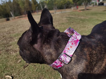 Martingale Dog Collars - Flower Multicolor Cute Patterns, Adjustable Nylon Training Dog Collar Suitable for Boy and Girl Dogs Medium Large Dogs (XL, Pink)