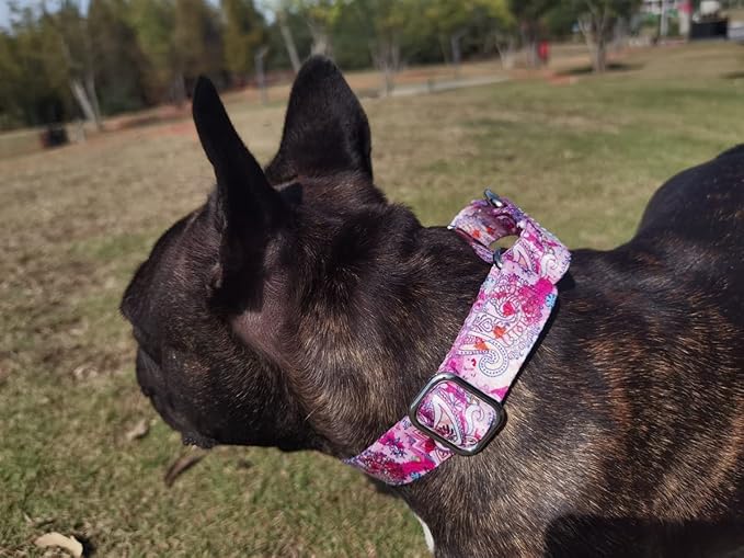 Martingale Dog Collars - Flower Multicolor Cute Patterns, Adjustable Nylon Training Dog Collar Suitable for Boy and Girl Dogs Medium Large Dogs (M, Purple1)