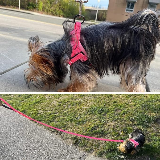 Lukovee Dog Harness and Leash Set, Soft Padded Small Dog Harness, Neck & Chest Adjustable Reflective Vest Puppy Harness with 4ft Lightweight Anti-Twist Dog Leash for Small Dogs (Pink, Medium)