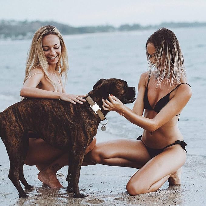 Air Tags-2 Pack Airtag Dog Collar Holder SWINCHO 1-3cm Width