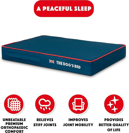 The Dog’s Bed Orthopedic Memory Foam Dog Bed 34x22, Pain