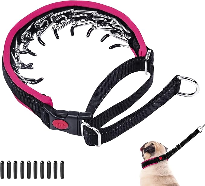Martingale Collar for Dogs