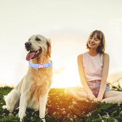 Waterproof Dog Collar with Safety Metal Buckle