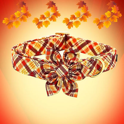 Elegant little tail Fall Dog Collar