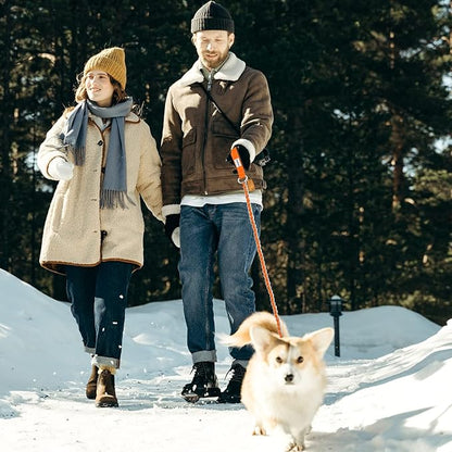 Chew Proof Metal Dog Leash for Medium Large Dogs 4FT Strong