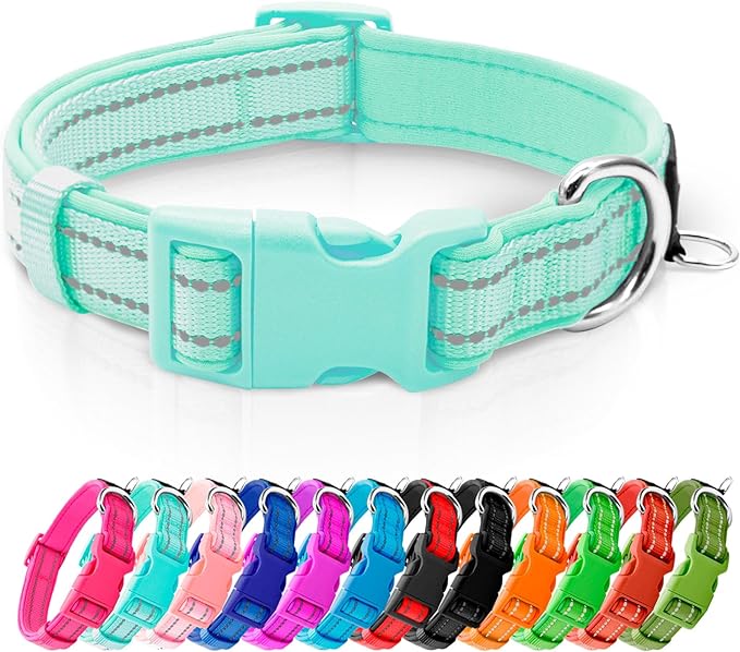 azuza Reflective Dog Collar