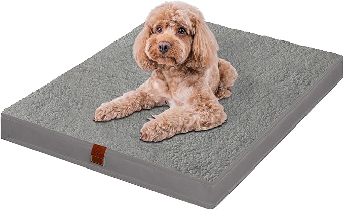 Easy-Going Dog Bed for Small Dogs (20x15x3 in,