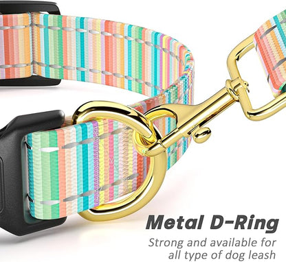 Reflective Dog Collar