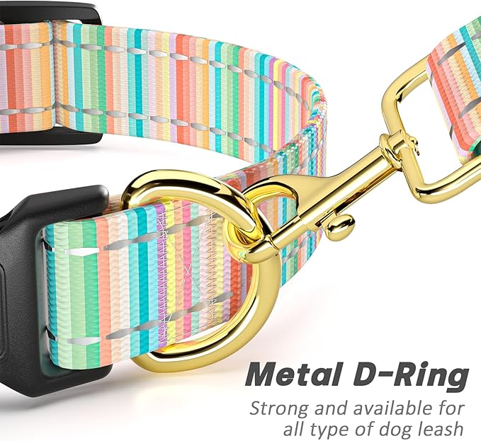 Reflective Dog Collar