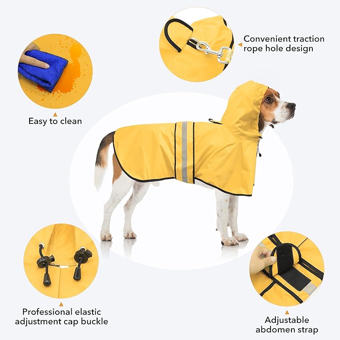 Raincoat Dogs