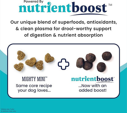 Solid Gold Nutrientboost Mighty Mini Small Breed Dog Food - Dry Dog Food Made with Real Lamb for Any Toy Breed - Grain & Gluten Free Recipe for Gut Health & Sensitive Stomach Support - 11 LB Bag