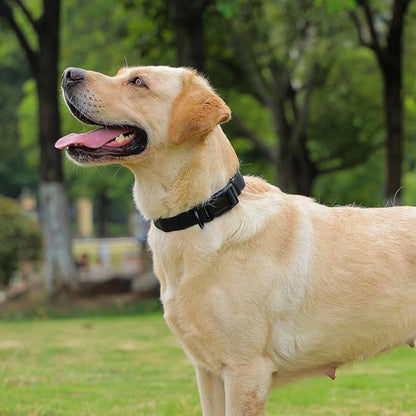 Waterproof Dog Collar 15.4-24.8 inch)