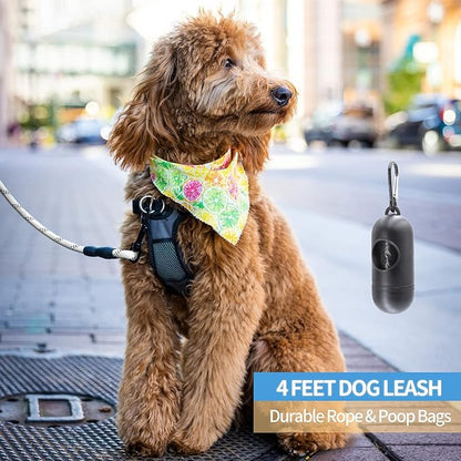 BAAPET 2/4/5/6 FT Dog Leash with Comfortable Padded Handle and Highly Reflective Threads for Small Medium and Large Dogs (4FT-1/2''