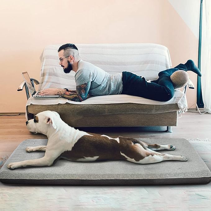 Panku Large 36inch Dog Bed 35x22x2)