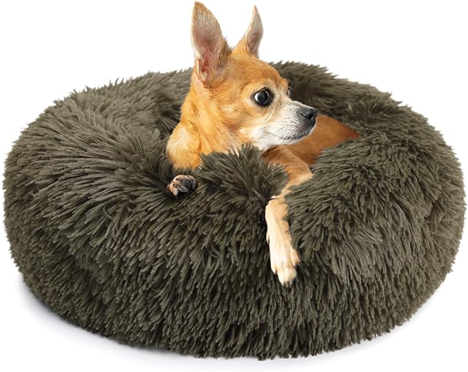 Small Dog Bed Calming Dogs Bed for Small