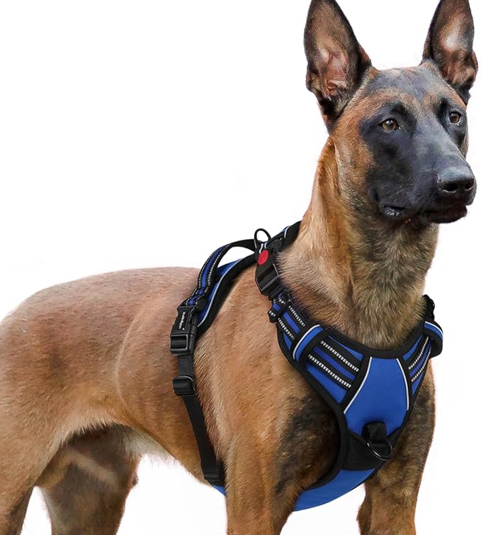 rabbitgoo Dog Harness for Large, No Pull Pet Harness with 3 Buckles, Adjustable Soft Padded Dog Vest with Instant Control Handle, Easy Walking Reflective Pet Vest for Extra Large Dogs, Blue, XL