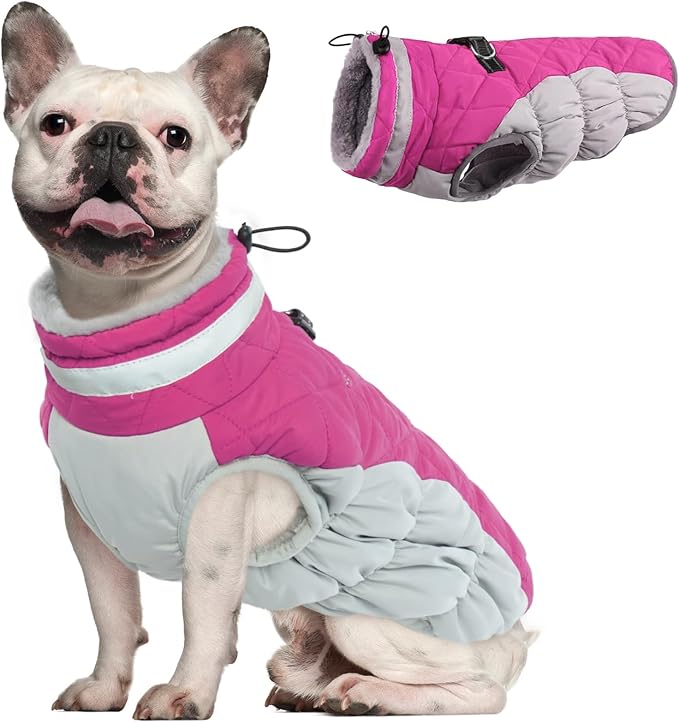 Dog Coat