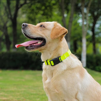 Waterproof Dog Collar 9.5-14.1 inch)