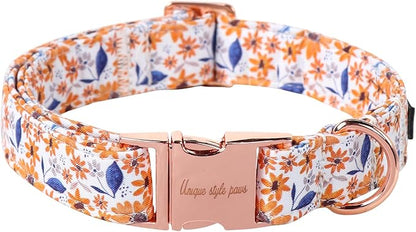 Unique style paws Dog Collar Metal Buckle Collar