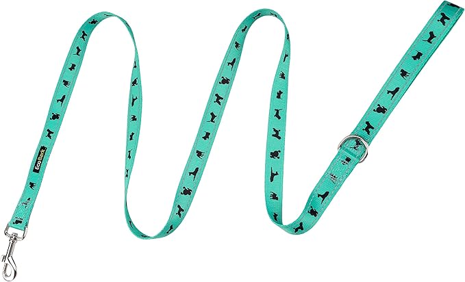 EcoBark Dog Leash - Soft & Reflective Comfort Training Leashes with Padded Handle - Strong Durable Heavy Duty - Training and Pulling for Small, Medium or Large Dogs (Turquoise)