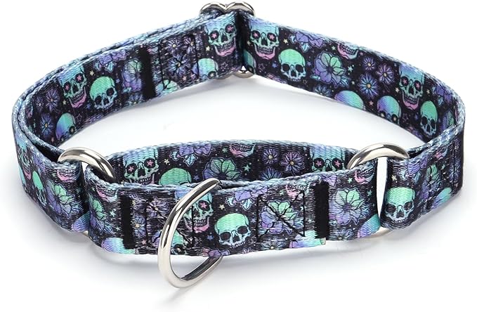 Martingale Dog Collars Blue2)