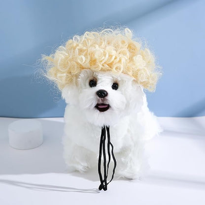 Funny Dog Cat Cosplay Wig, Headwear Apparel, Pet Costumes, Cat Dress up for Halloween, Christmas, Parties, Festivals, Dog Wigs for Small Medium and Large Dogs (Blonde Short Curly Hair)