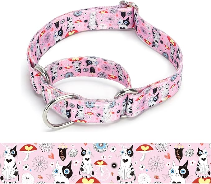 Martingale Dog Collars (12, L)