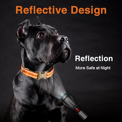 CHEDE Reflective Dog Collar