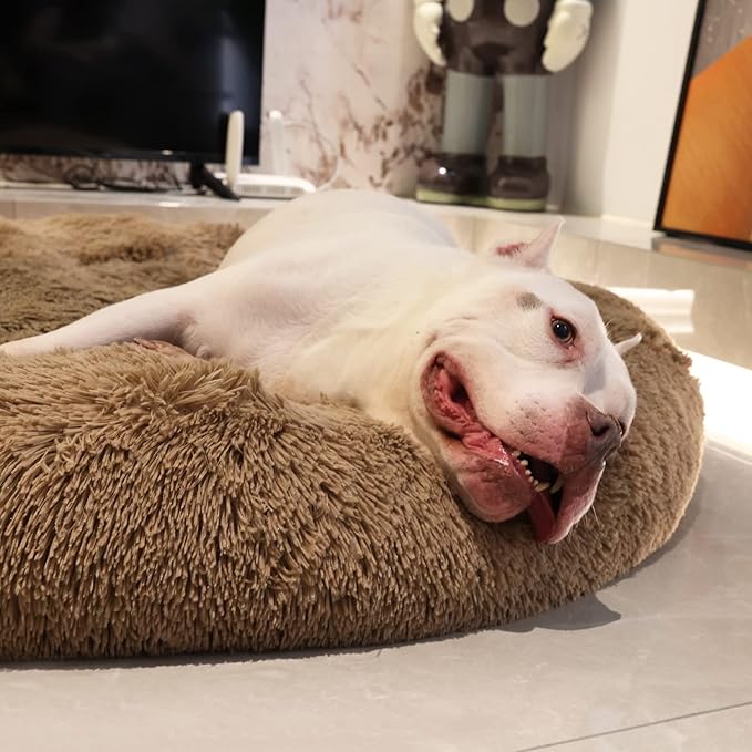 Jumbo Dog Beds for Extra Large Dogs 150 lbs