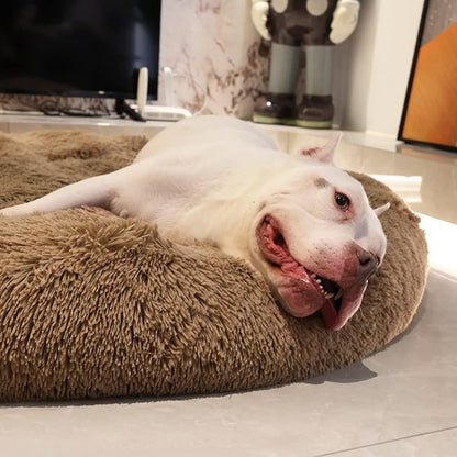 Jumbo Dog Beds for Extra Large Dogs 150 lbs