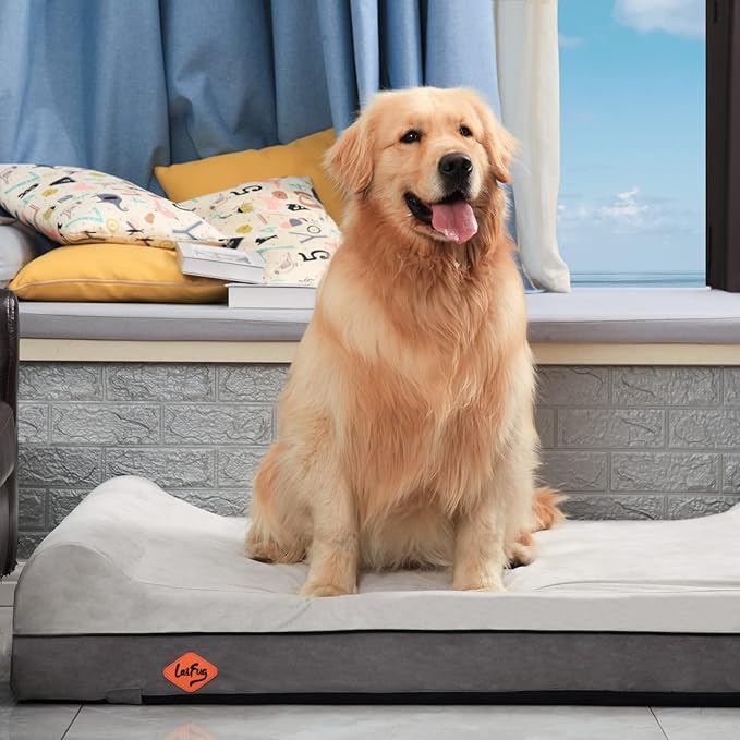 Laifug Orthopedic Memory Foam Dog Bed Extra Large
