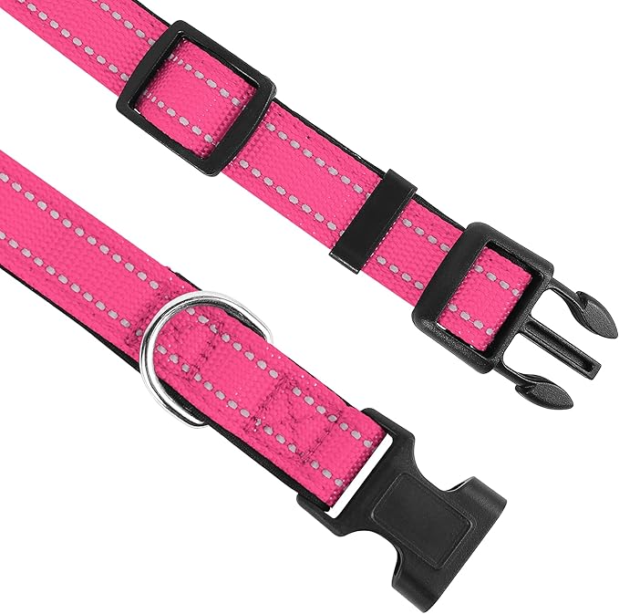 Reflective Dog Collar