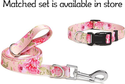 Adjustable Dog Collar with Patterns