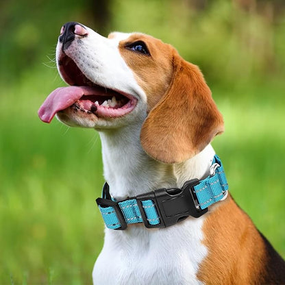 Reflective Martingale Dog Collars. Dog Collar with Quick