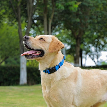 Waterproof Dog Collar 15.4-24.8 inch)
