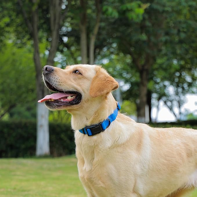 Waterproof Dog Collar 11.8-18.5 inch)