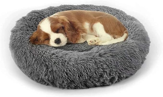 Dog Bed