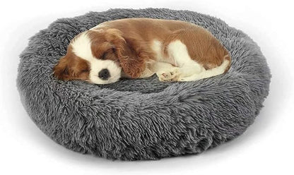 Dog Bed