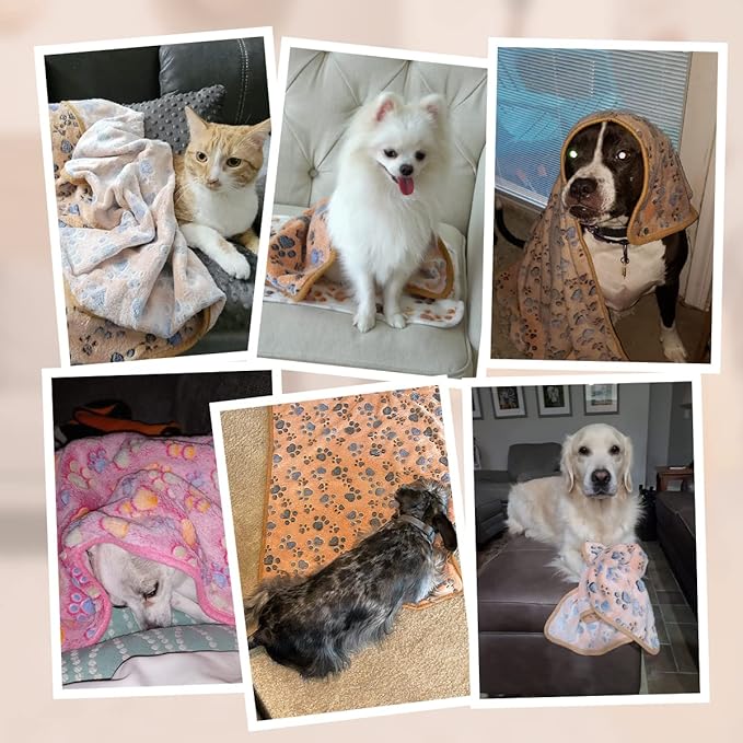 Pet Soft Dog Blankets Medium - Fluffy Cats Dogs Blankets Medium Dogs, Cute Paw Print Pet Throw Puppy Blankets Fleece(M,30 * 20")