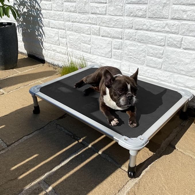 Veehoo Chew Proof Elevated Dog Bed CWC2003