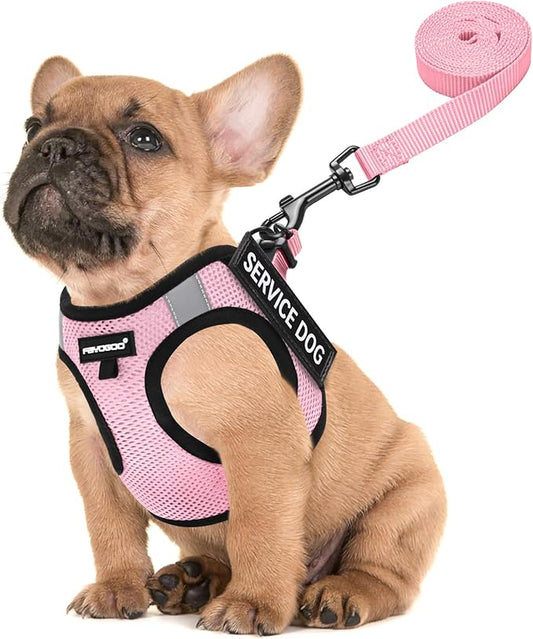 FAYOGOO Service Dog Vest for Small Breed - Lightweight Dog Harness with 6PCS Removable Patches - Puppy Harness and Leash Set for Walking,Training