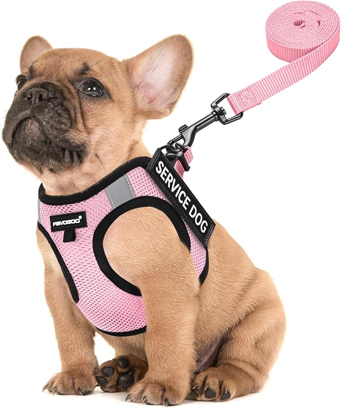 FAYOGOO Service Dog Vest for Medium Breed - Lightweight Dog Harness with 6PCS Removable Patches - Puppy Harness and Leash Set for Walking,Training